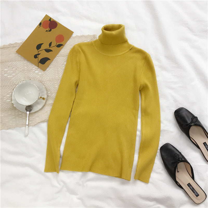 Pull Femme à Col Roulé